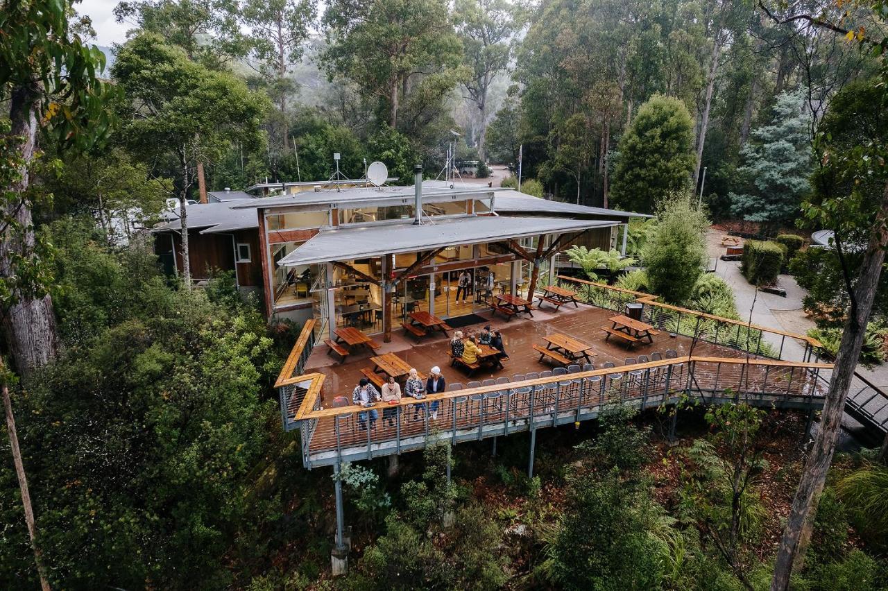 Tahune Airwalk Cabin And Lodge Geeveston Exteriör bild