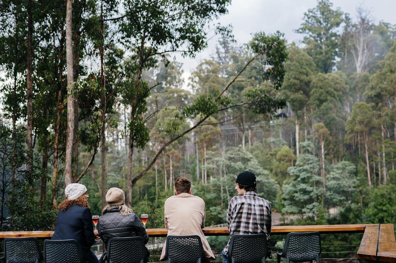 Tahune Airwalk Cabin And Lodge Geeveston Exteriör bild