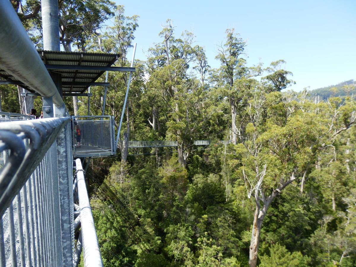 Tahune Airwalk Cabin And Lodge Geeveston Exteriör bild