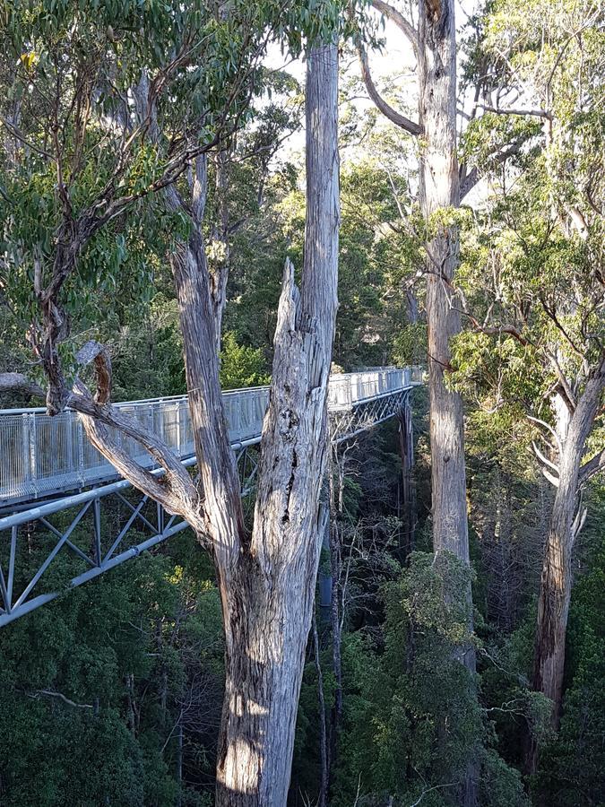 Tahune Airwalk Cabin And Lodge Geeveston Exteriör bild
