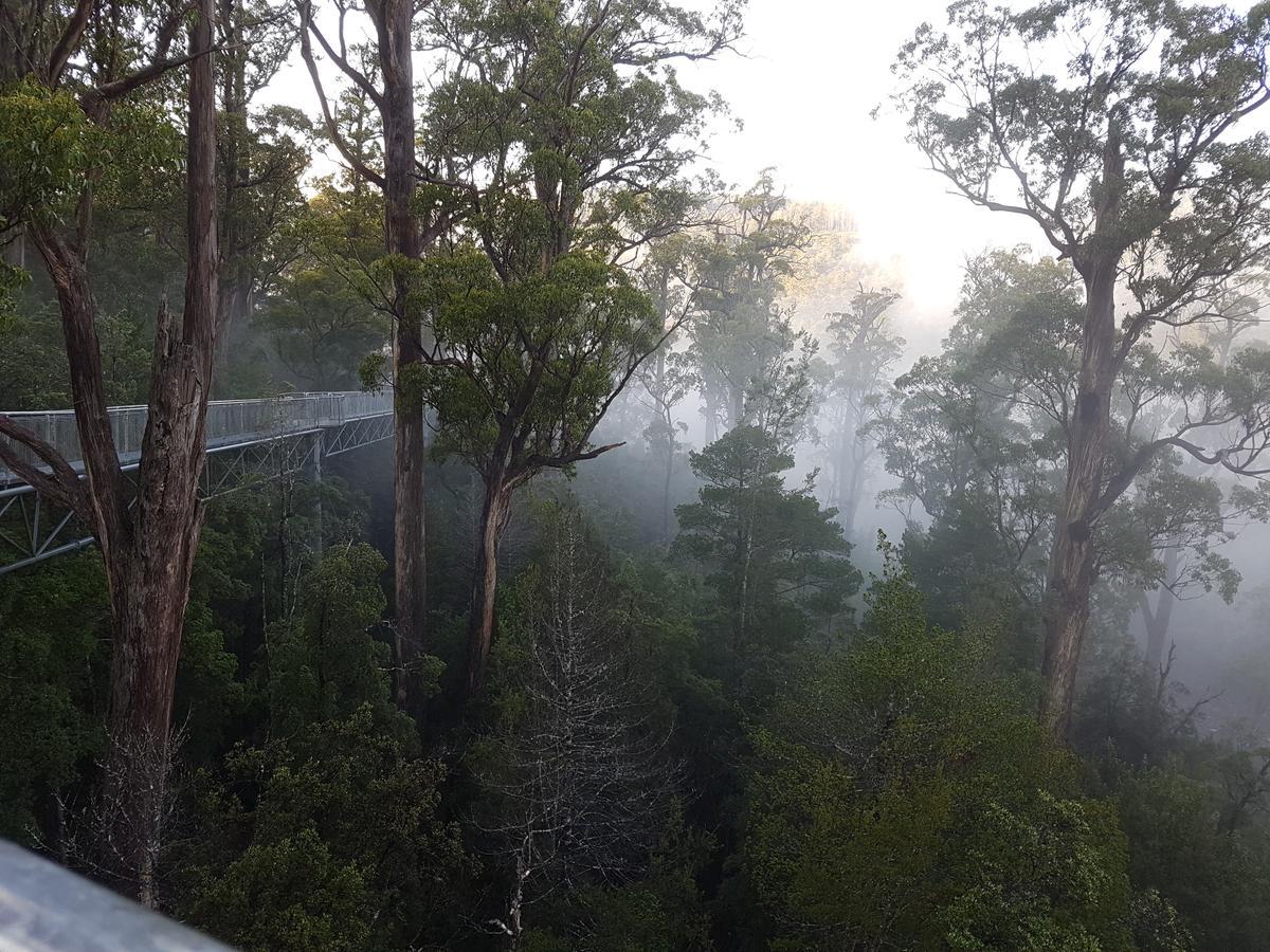 Tahune Airwalk Cabin And Lodge Geeveston Exteriör bild